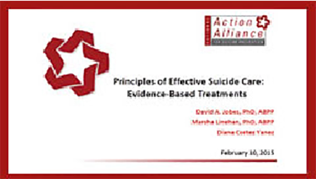 Principles of Effective Suicide Care