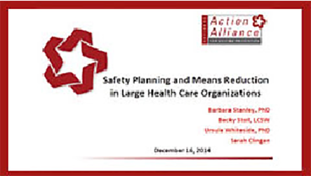Safety Planning and Means Reduction in Large Health Care Organizations
