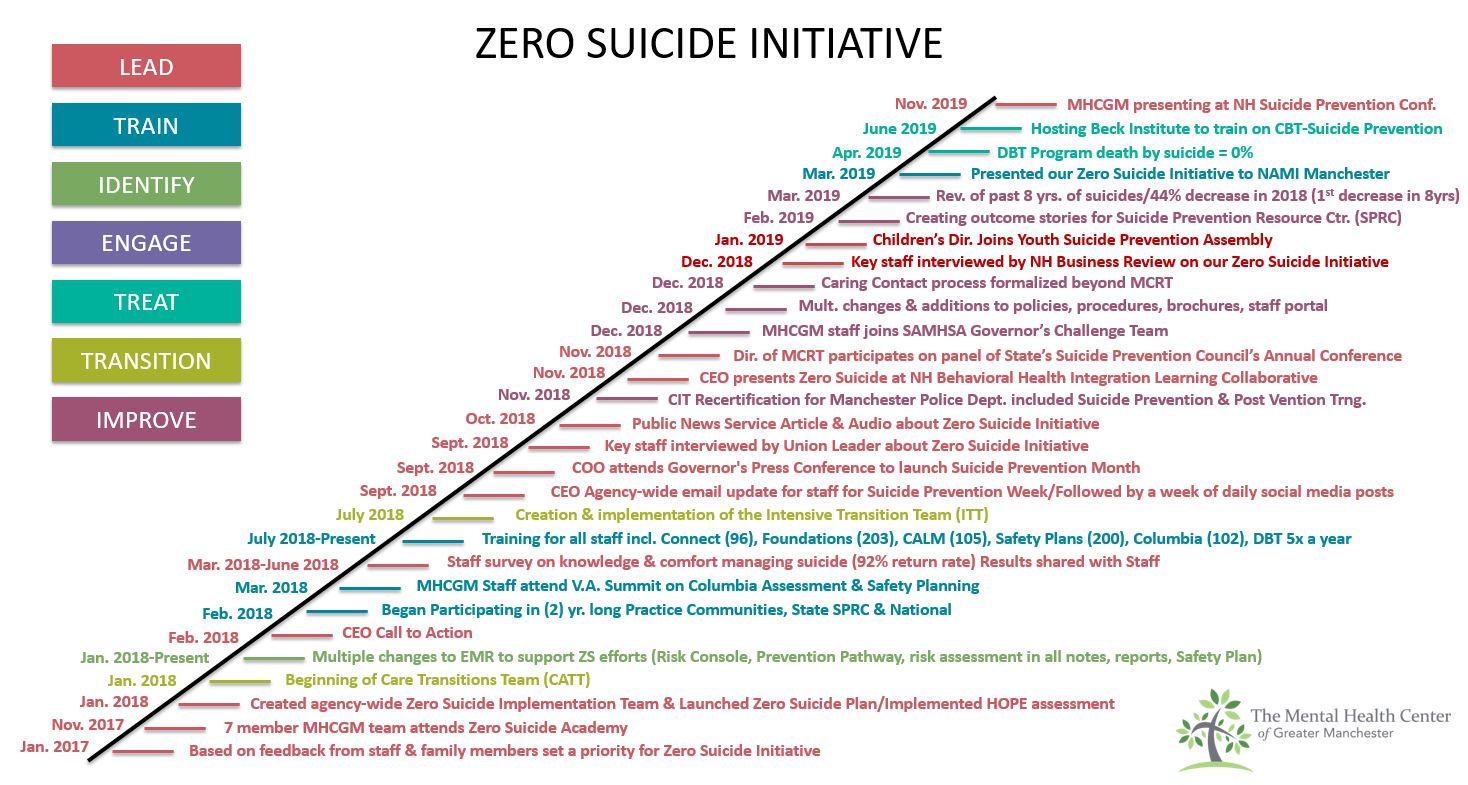 Figure 1. MHCGM Zero Suicide Initiative