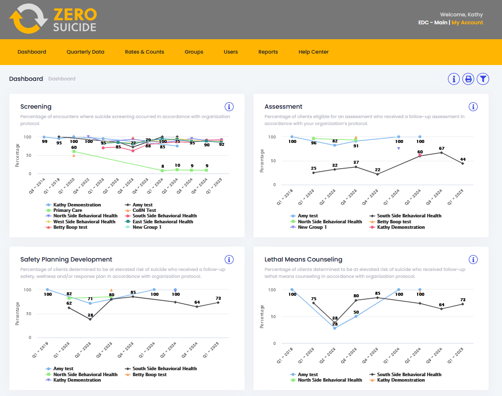 Picture of Data Dashboard view of dashboard page