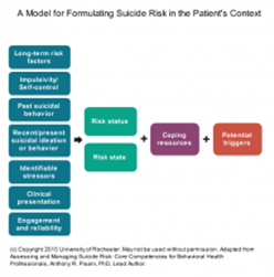 A Model for Formulating Suicide Risk in the Patient's Context