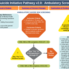 image of seattle children's suicide care pathway