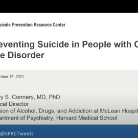 Screen Shot of Webinar