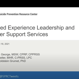 Screen Shot of Webinar