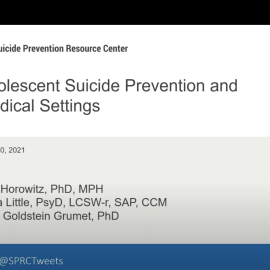 Screen Shot of Webinar