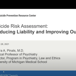 Screenshot of Webinar