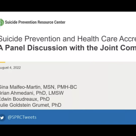 Screenshot of webinar panel