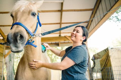 Horse, Native American woman