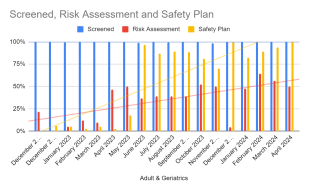 CHA Safety Planning Chart image