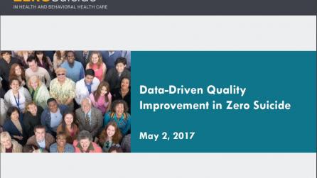 Data-Driven Quality Improvement in Zero Suicide